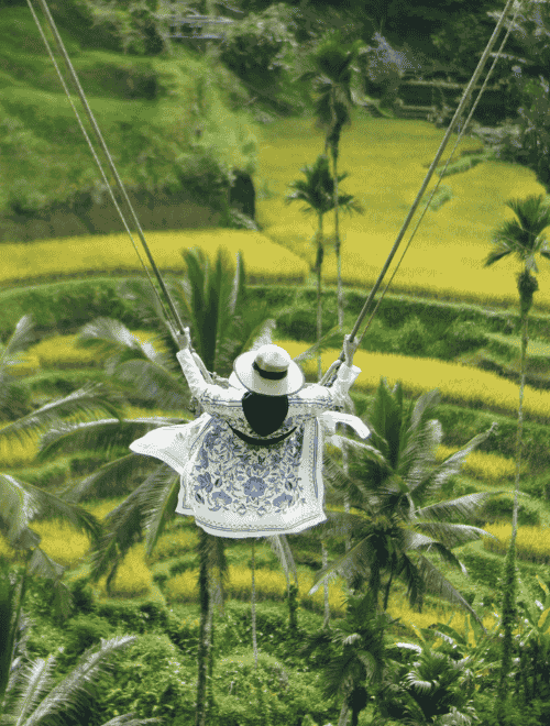 Ceking rice terrace ubud